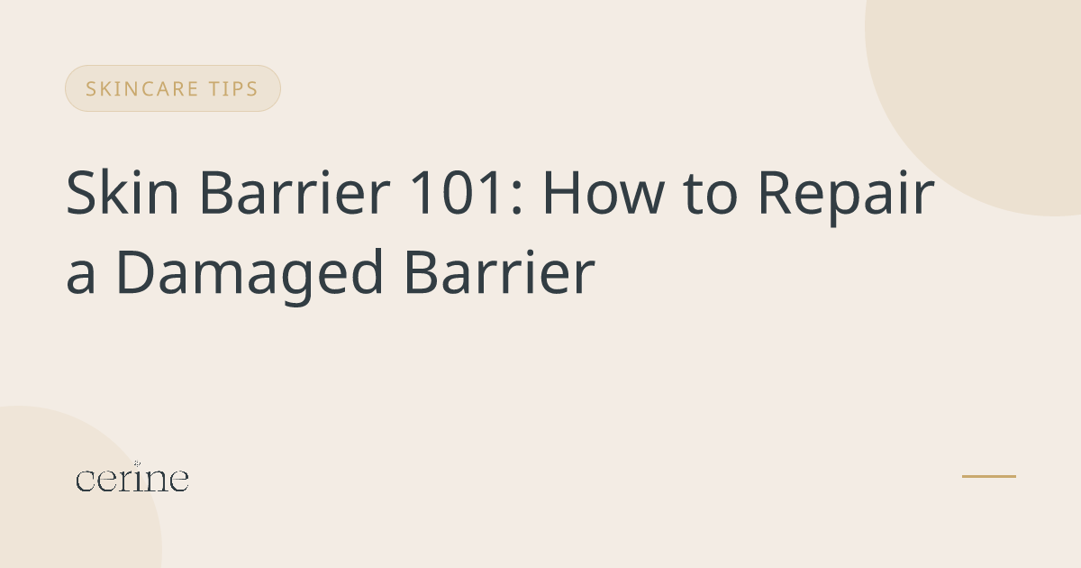 Skin Barrier 101: How to Repair a Damaged Barrier